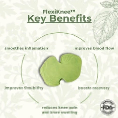FlexiKnee™ – Herbal Knee Patch for Instant & Long-Lasting Relief