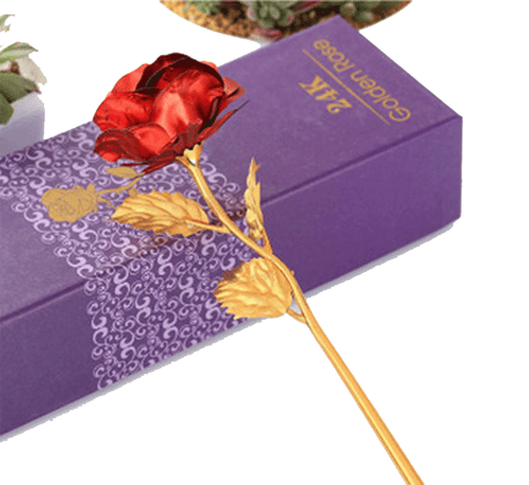 Romantic 24 K Golden Red Rose